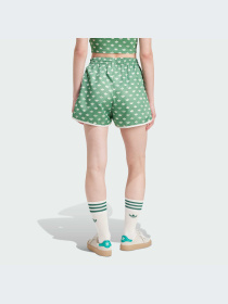 Шорты Adidas Graphics модель IX0931-KZ Фото