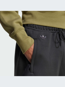 Брюки Adidas Adicolor модель JW5445-KZ Фото