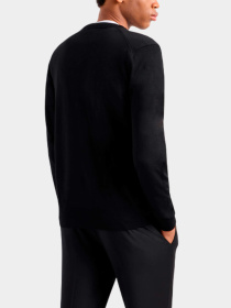 Худи и свитшоты Emporio Armani модель 8N1E21-1M67Z-0999 Фото