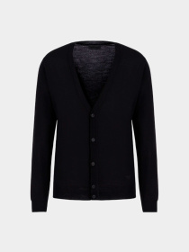 Худи и свитшоты Emporio Armani модель 8N1E21-1M67Z-0999 Фото