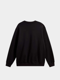 Худи и свитшоты Vans модель VN000RATBLK1 Фото