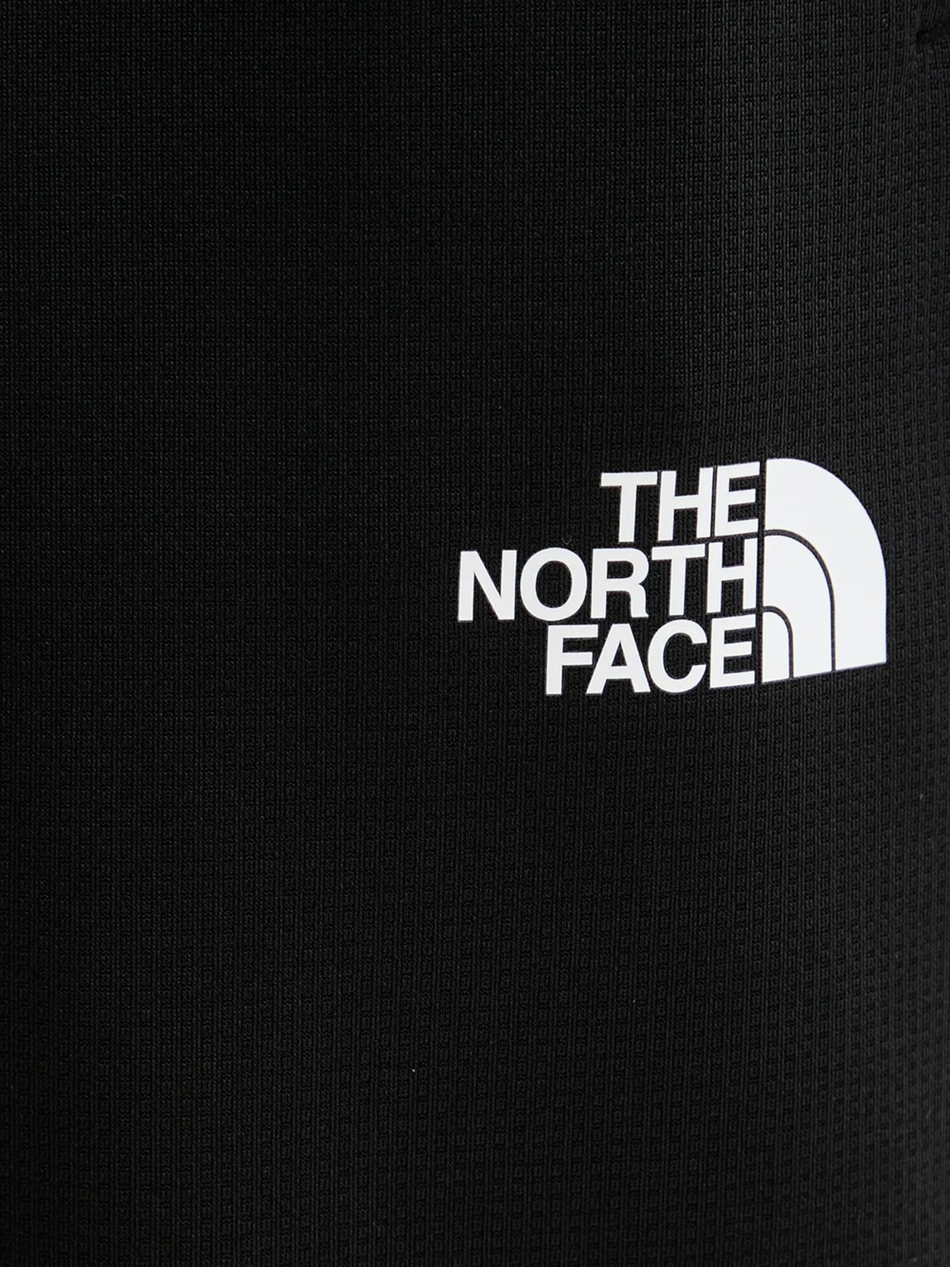 Брюки The North Face модель NF0A8DRSKS71 Фото
