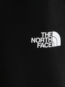 Брюки The North Face модель NF0A8DRSKS71 Фото