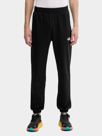 Брюки The North Face модель NF0A8DRSKS71 Фото