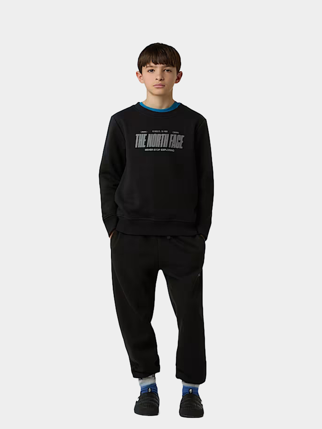 Худи и свитшоты The North Face модель NF0A8EATJK31 Фото