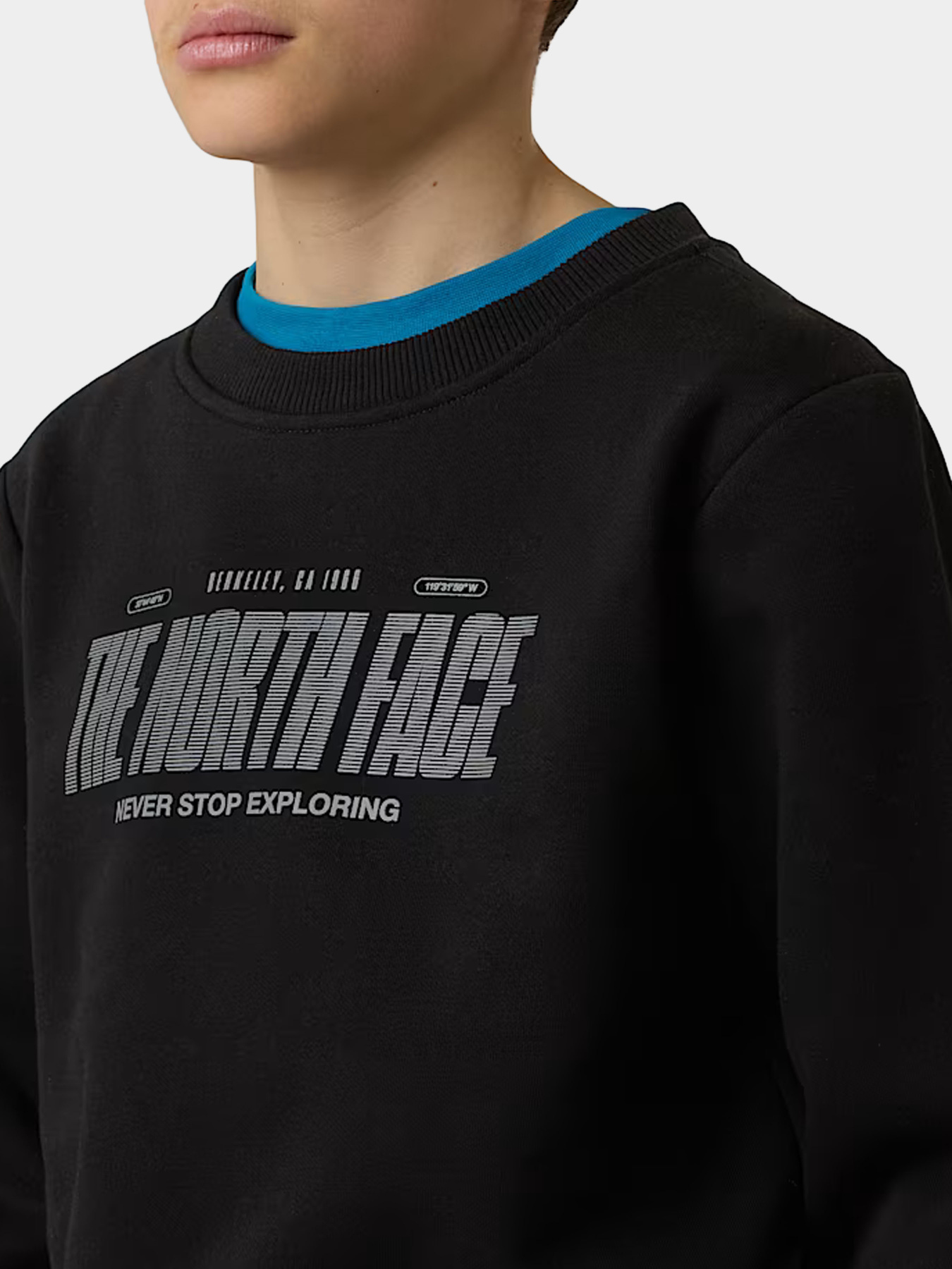 Худи и свитшоты The North Face модель NF0A8EATJK31 Фото