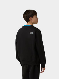 Худи и свитшоты The North Face модель NF0A8EATJK31 Фото