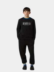 Худи и свитшоты The North Face модель NF0A8EATJK31 Фото
