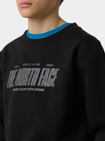 Худи и свитшоты The North Face модель NF0A8EATJK31 Фото
