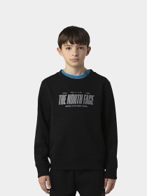 Худи и свитшоты The North Face модель NF0A8EATJK31 Фото