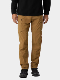 Брюки The North Face модель NF0A8EC61731 Фото