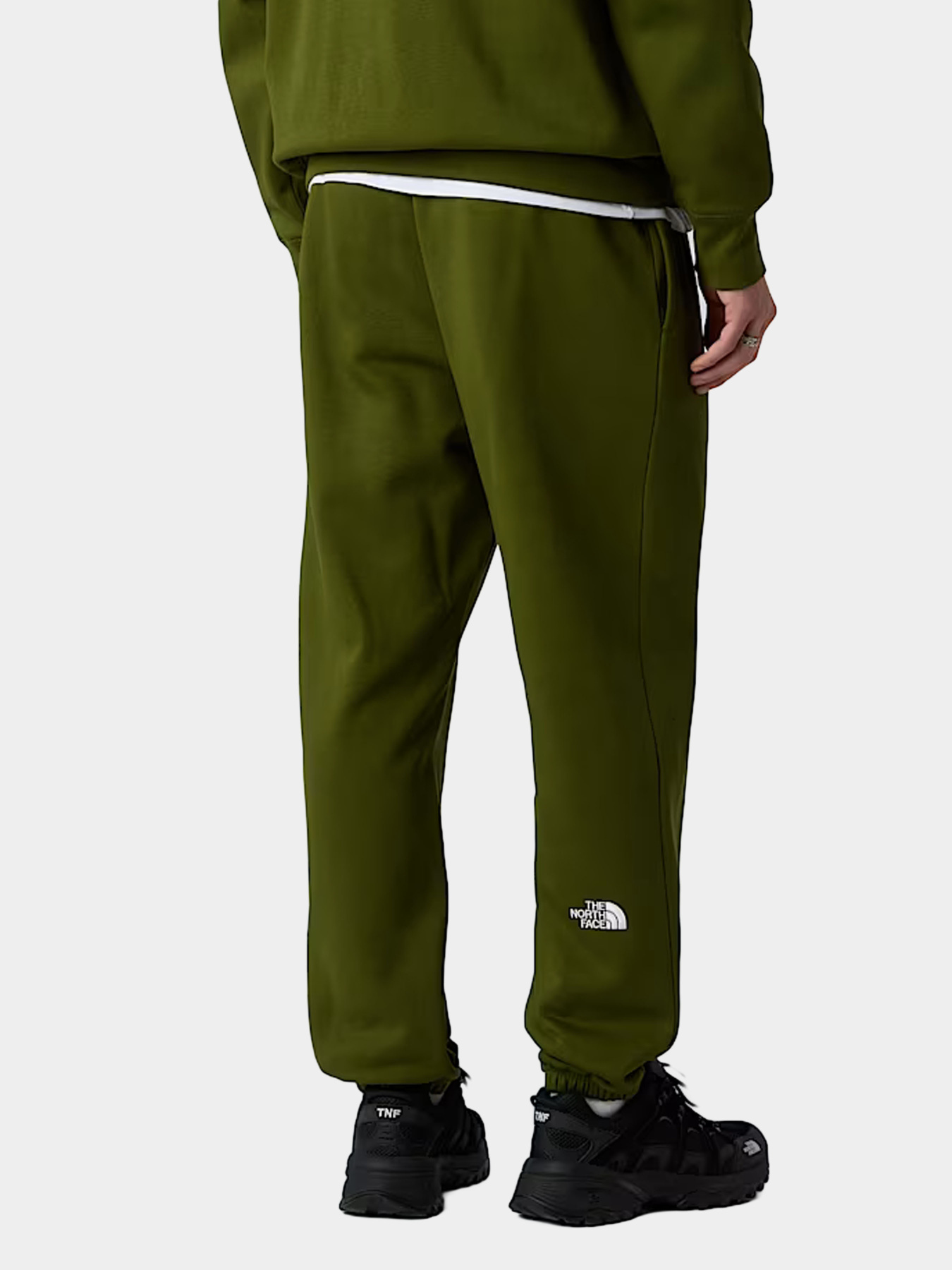 Брюки The North Face модель NF0A8C1FBRI1 Фото