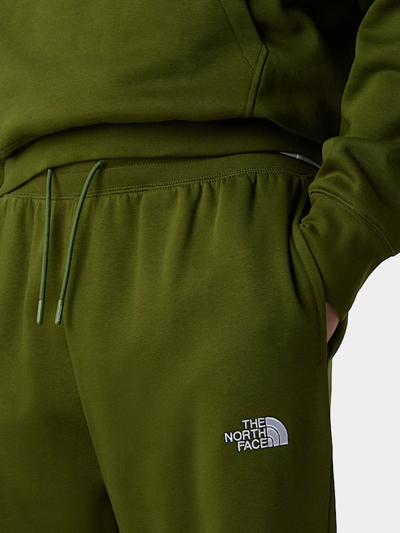 Брюки The North Face модель NF0A8C1FBRI1 Фото