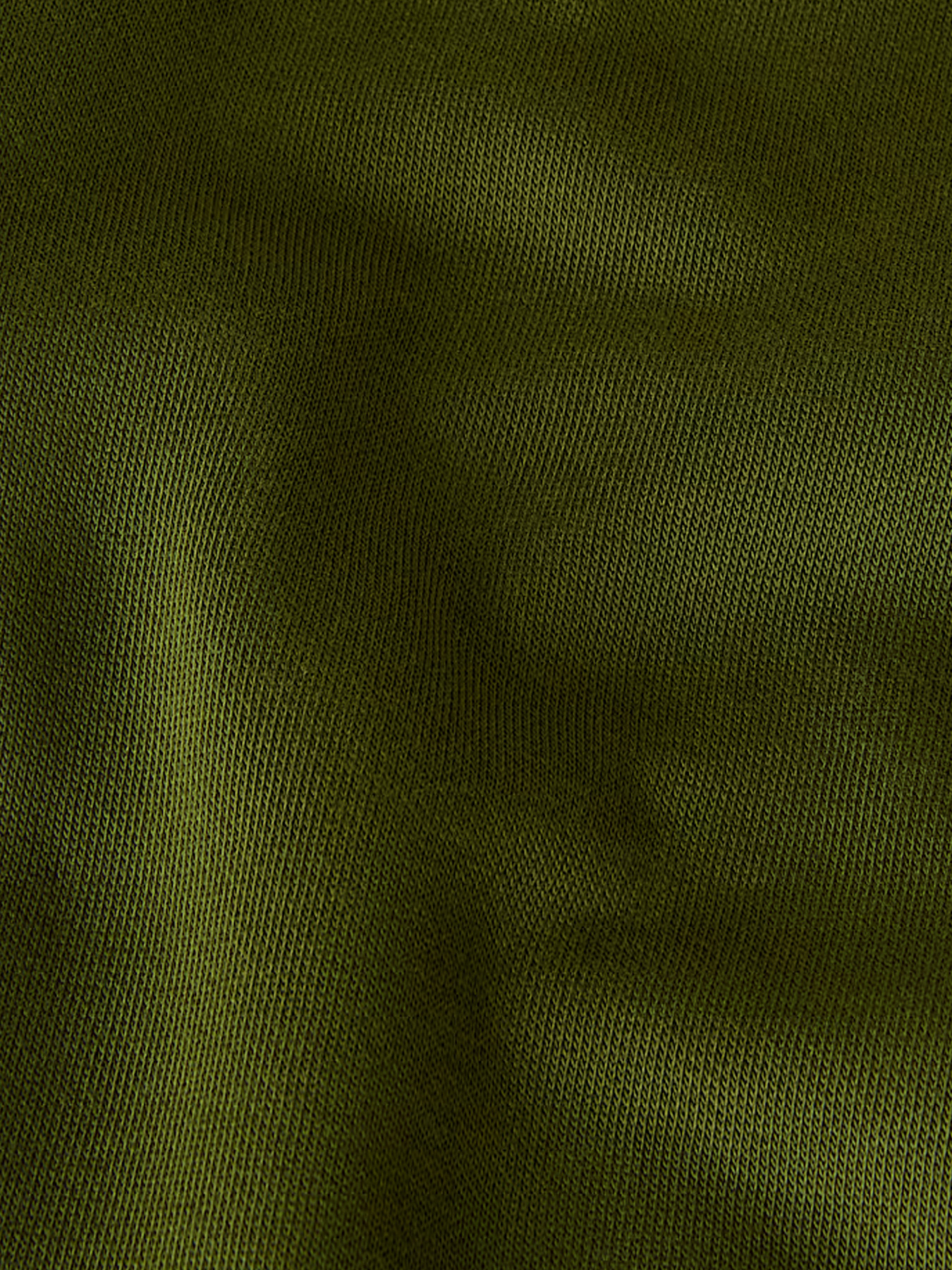 Брюки The North Face модель NF0A8C1FBRI1 Фото