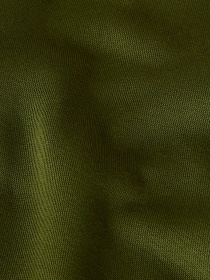 Брюки The North Face модель NF0A8C1FBRI1 Фото