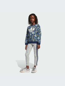 Костюмы Adidas Graphics модель JV7804-KZ Фото