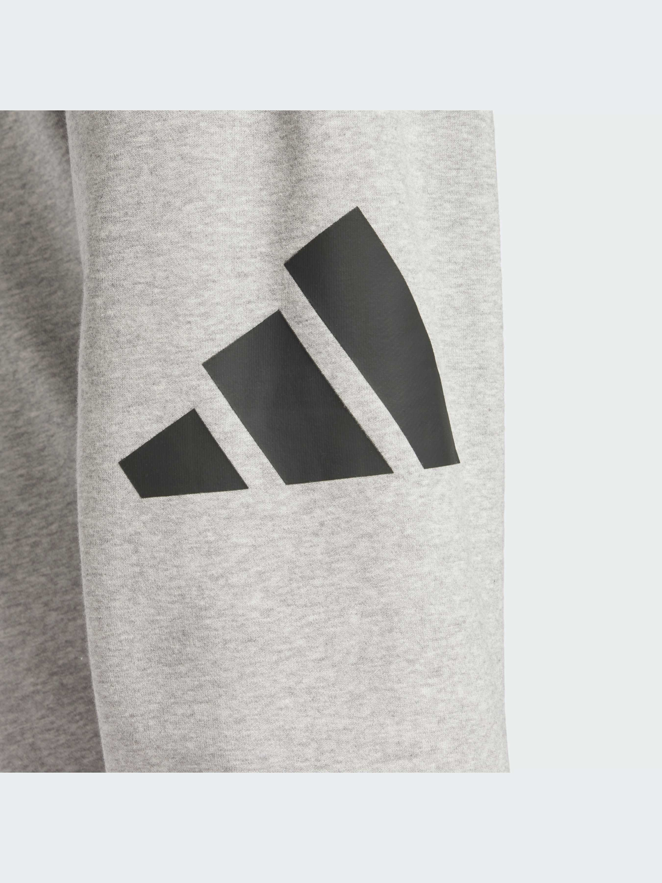 Брюки Adidas модель JE8969-KZ Фото