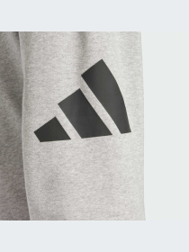 Брюки Adidas модель JE8969-KZ Фото