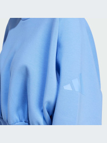 Худи и свитшоты Adidas модель JV9895-KZ Фото