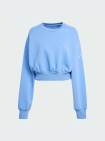 Худи и свитшоты Adidas модель JV9895-KZ Фото