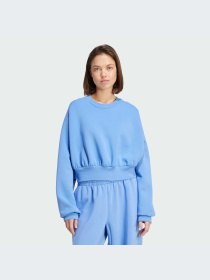 Худи и свитшоты Adidas модель JV9895-KZ Фото