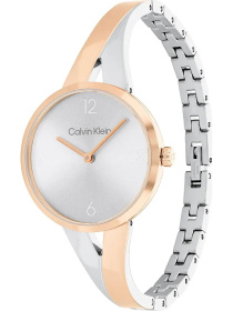 Часы Calvin Klein модель 25100028 Фото