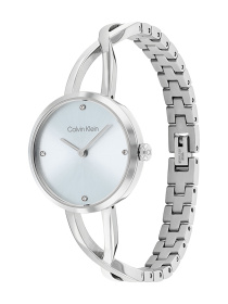 Часы Calvin Klein модель 25100058 Фото