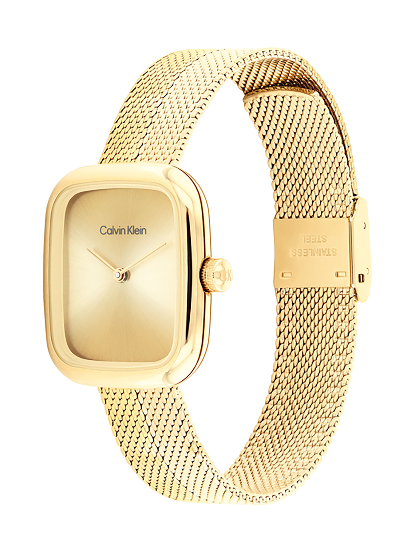 Часы Calvin Klein модель 25100099 Фото