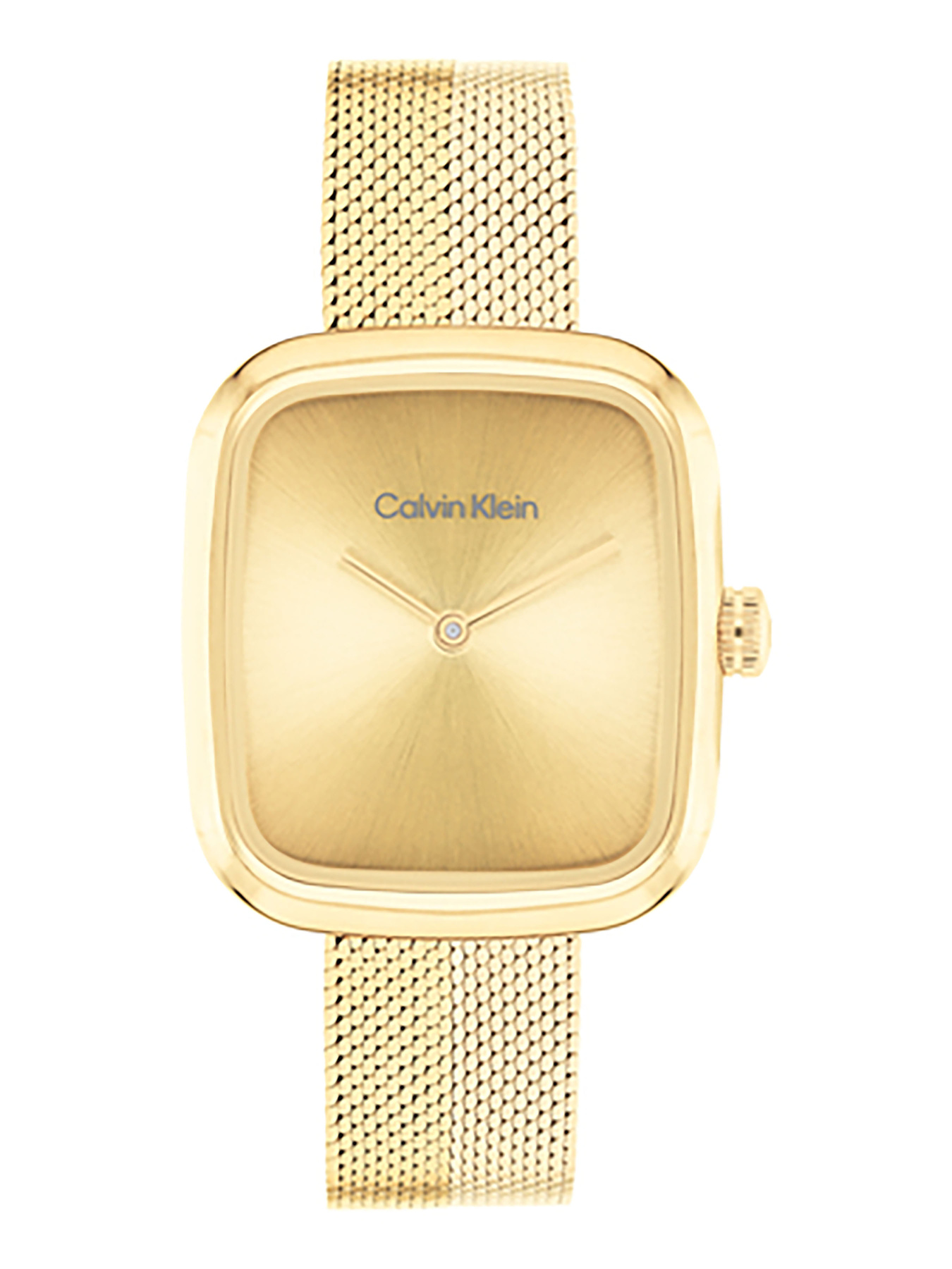 Часы Calvin Klein модель 25100099 Фото