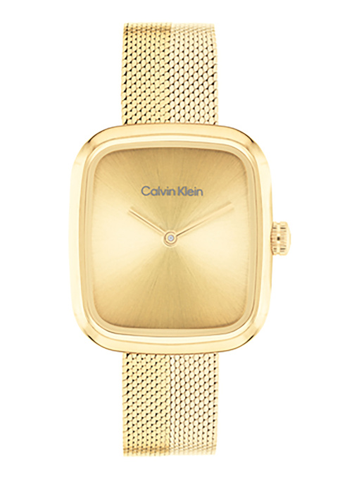 Часы Calvin Klein модель 25100099 Фото