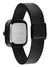 Часы Calvin Klein модель 25100100 Фото