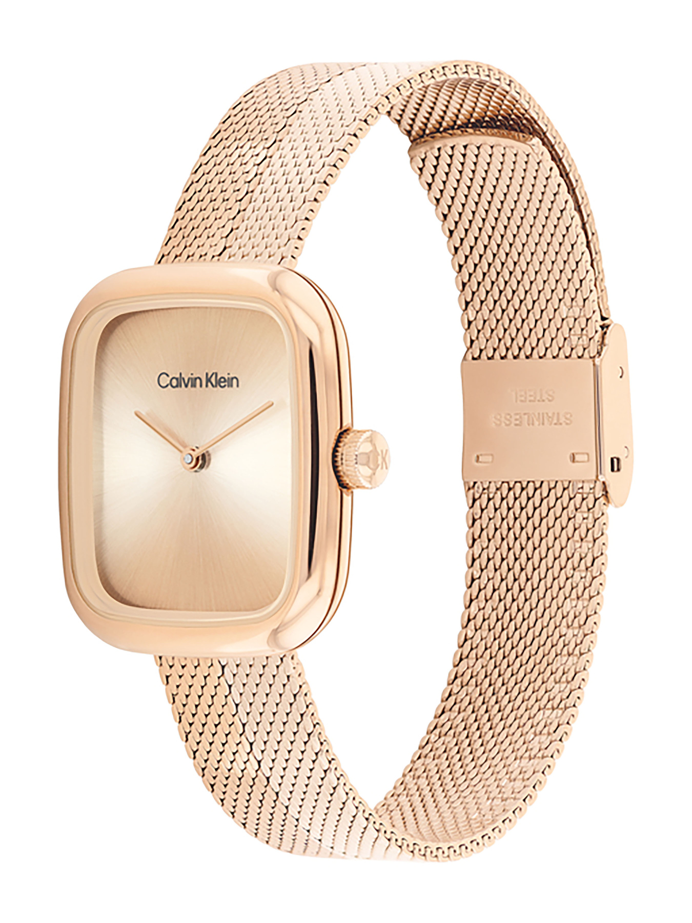 Часы Calvin Klein модель 25100101 Фото