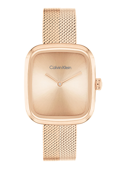 Часы Calvin Klein модель 25100101 Фото
