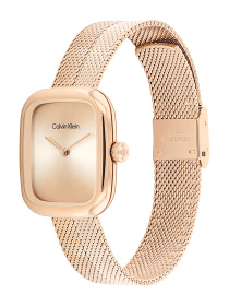 Часы Calvin Klein модель 25100101 Фото