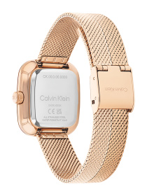 Часы Calvin Klein модель 25100101 Фото