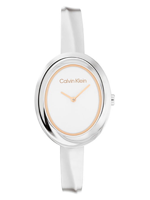 Часы Calvin Klein модель 25100055 Фото
