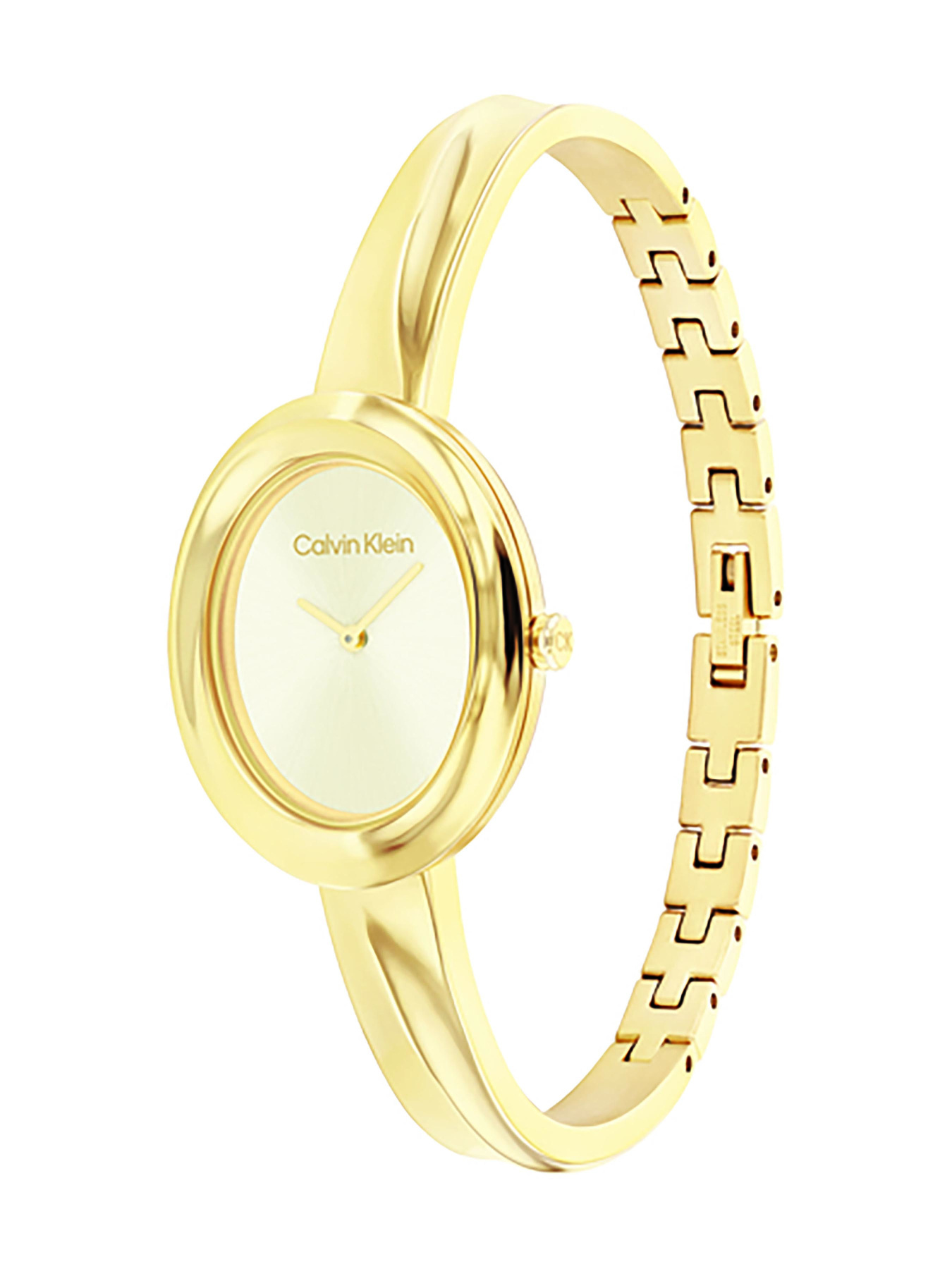 Часы Calvin Klein модель 25100056 Фото