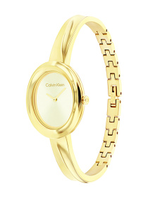 Часы Calvin Klein модель 25100056 Фото