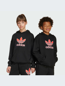 Худи и свитшоты Adidas Adicolor модель JV8637-KZ Фото