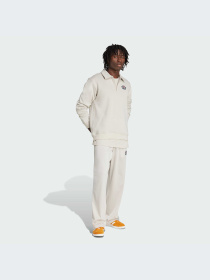Худи и свитшоты Adidas Graphics модель JX8172-KZ Фото
