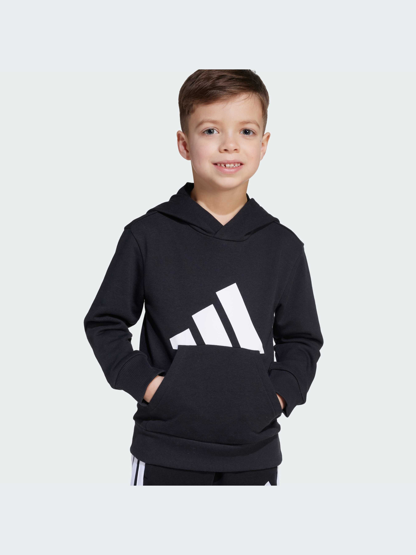 Худи и свитшоты Adidas модель JM0885-KZ Фото