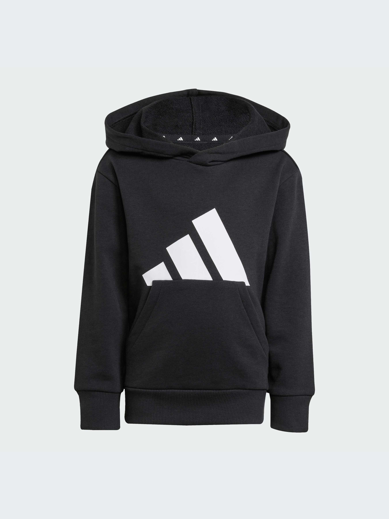 Худи и свитшоты Adidas модель JM0885-KZ Фото