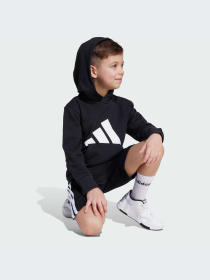 Худи и свитшоты Adidas модель JM0885-KZ Фото