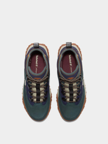 Ботинки и сапоги Timberland модель TB0A6ASHEO6 Фото