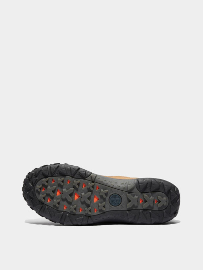 Кроссовки Timberland модель TB0A6F7EW05 — фото - INTERTOP