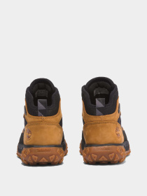 Ботинки и сапоги Timberland модель TB1A66P8231 Фото