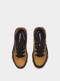 Ботинки и сапоги Timberland модель TB1A66P8231 Фото