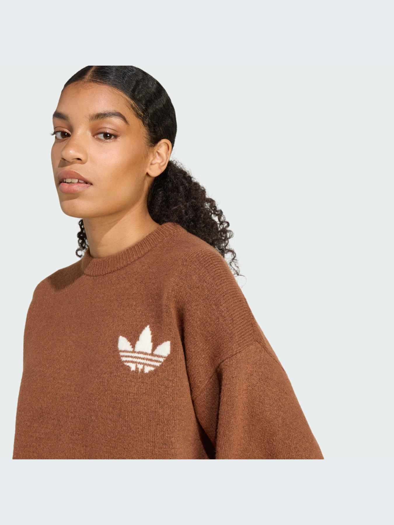 Худи и свитшоты Adidas модель KF2340-KZ Фото