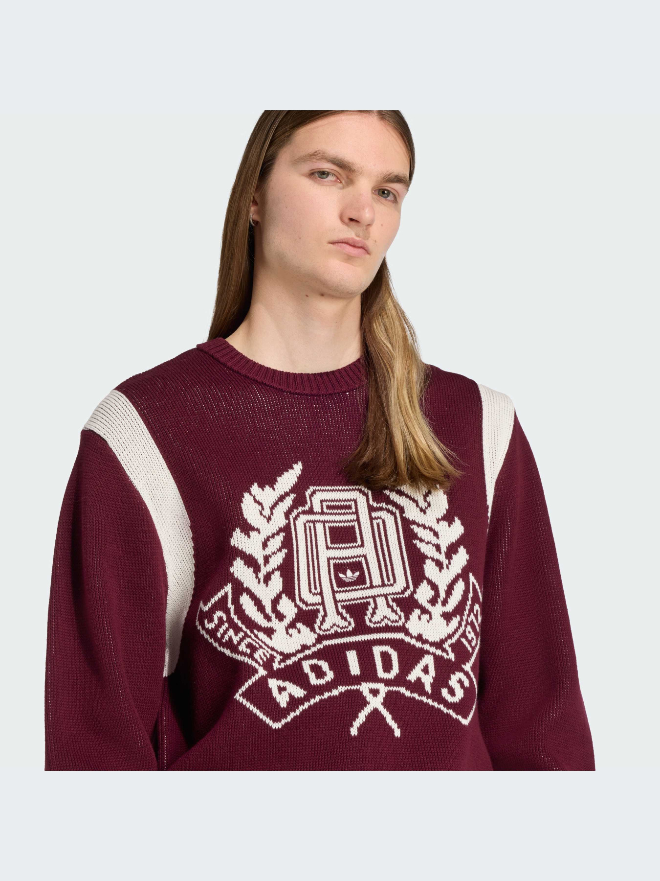 Худи и свитшоты Adidas Graphics модель JX8215-KZ Фото