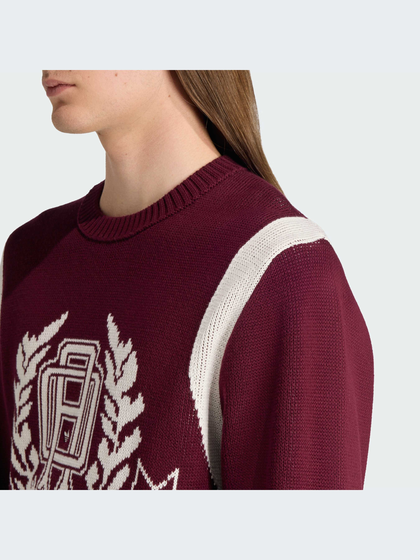 Худи и свитшоты Adidas Graphics модель JX8215-KZ Фото
